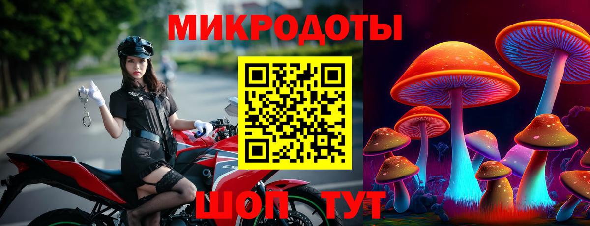 Галлюциногенные грибы мухоморы  Вход с VPN  Шадринск  Псилоцибиновые грибы Psilocybe 