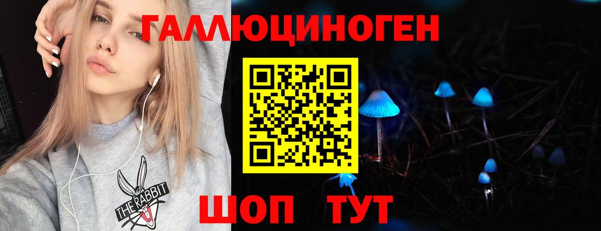 Псилоцибиновые грибы GOLDEN TEACHER Шадринск